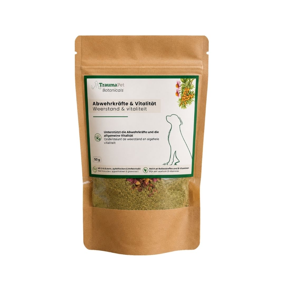 Hund und Katze mit starkem Immunsystem und Vitalität dank TraumaPet Botanicals Immunsystem & Vitalität