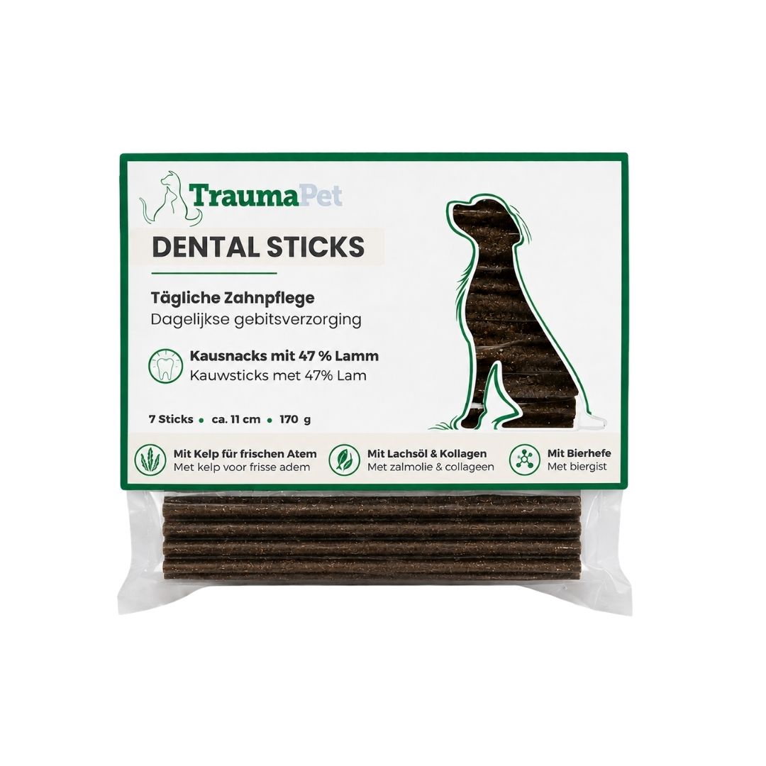 Hund kaut auf TraumaPet Dental Sticks — unterstützt die natürliche Reinigung der Zähne und sorgt bei täglicher Anwendung für frischen Atem.